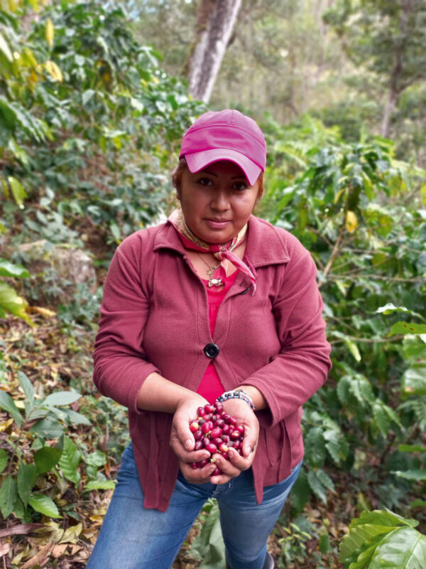 Mexiko Especial - Café de Mujeres Projektkaffee – Bild 3